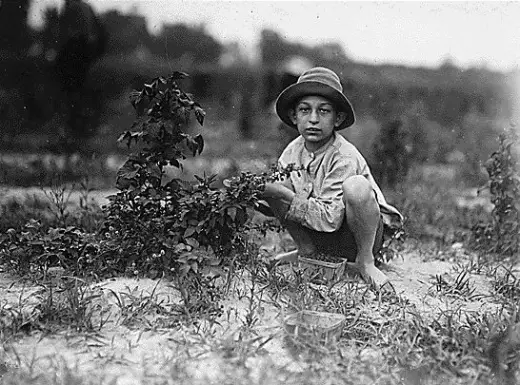 American Child Labour