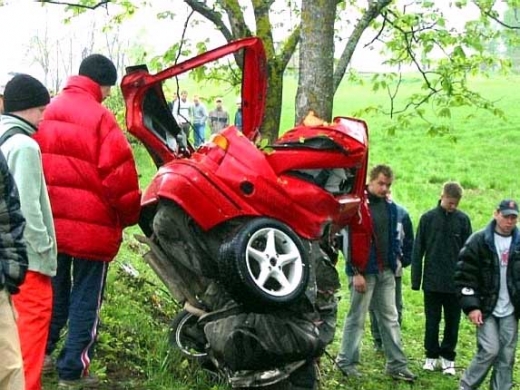 Another Tree Gets Wrapped