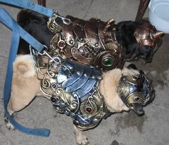 Armor For Dogs