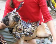 Armor For Dogs