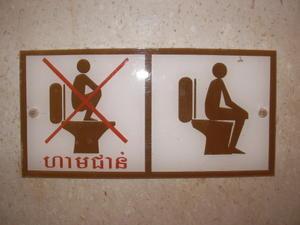 Asian Toilet Instructions