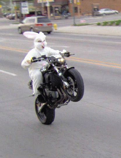 Crazy Easter Bunny