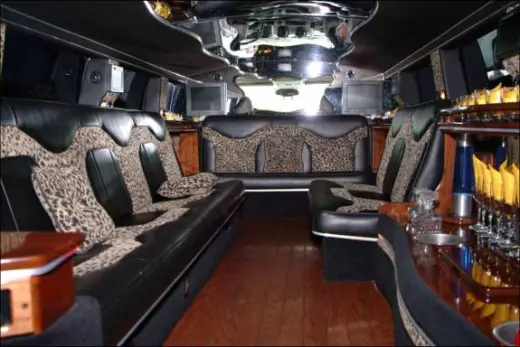 Crazy Limousines