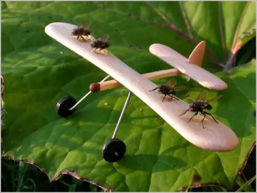 Fly Powered Plane