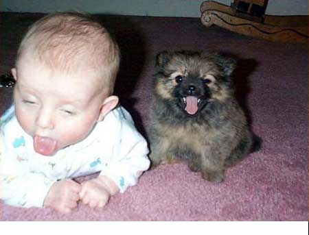 Funny Baby Pictures