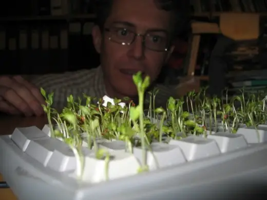 Garden Keyboard