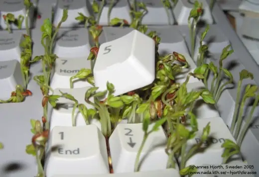 Garden Keyboard