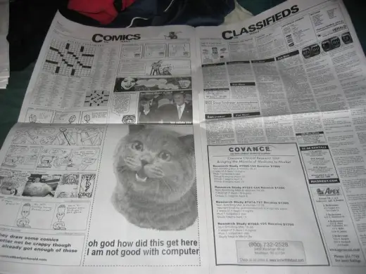 Lolcat In Newspaper