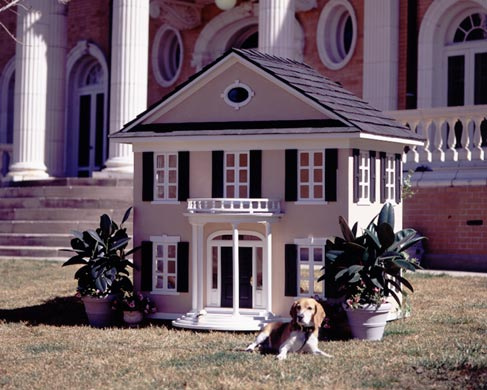 Luxurious Dog Houses