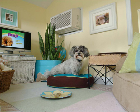 Luxurious Dog Houses