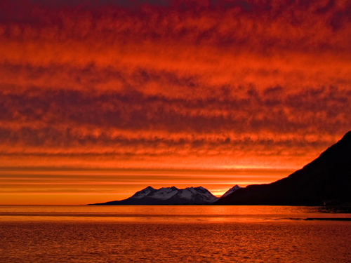 Norwegian Sunset