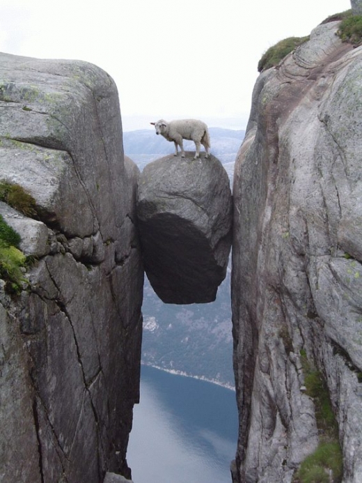 Precarious Goat