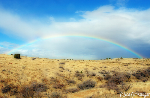 More Rainbows