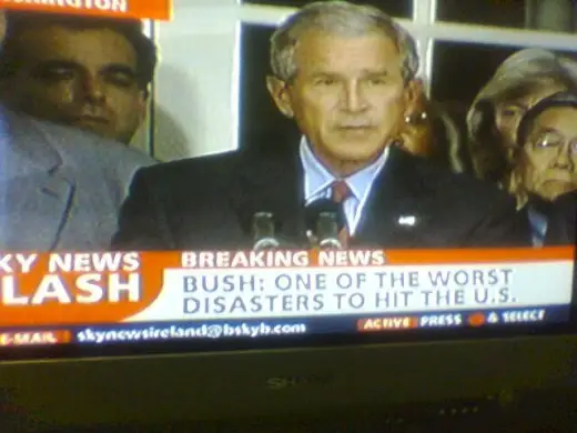 Bush Is An...