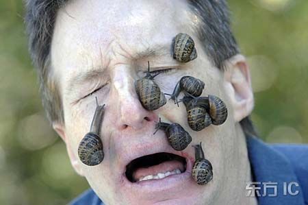 Snails On The Face