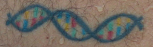 Tattoos Of Science