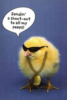 Cool Easter Chick! 