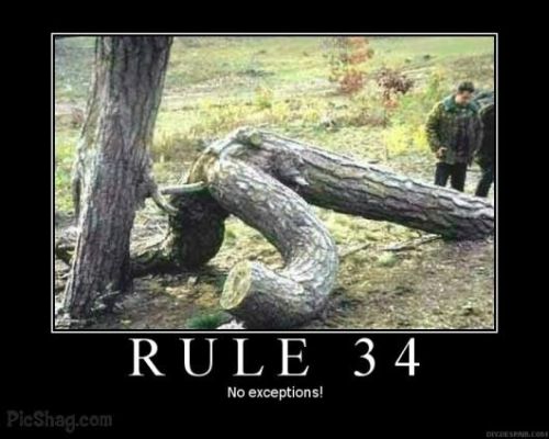 Rule #34