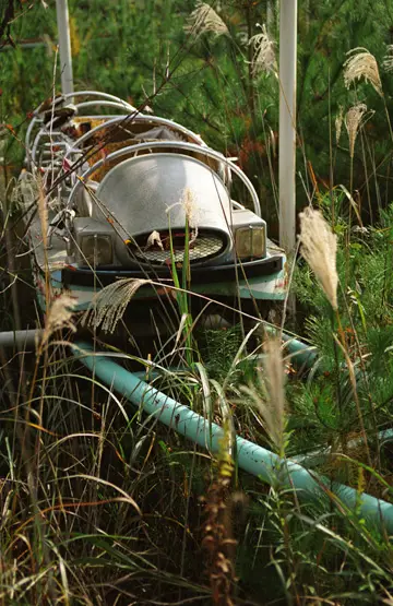 Abandoned Amusement Park