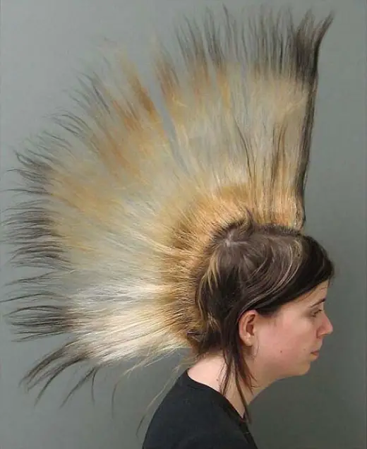 Craziest Hairstyles