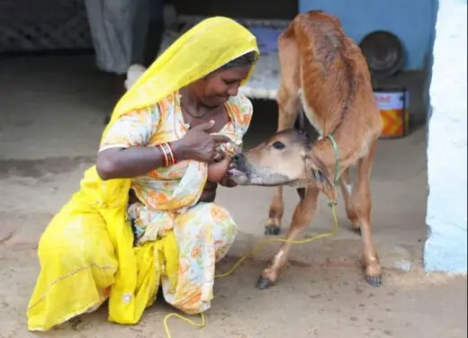 Feeding The Baby