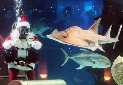 Underwater Santa
