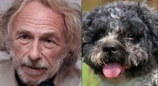 Celebrity Animal Look Alikes