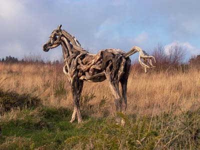 Nature Horses Using Driftwood