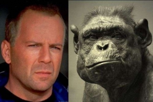 Celebrity Animal Look Alikes