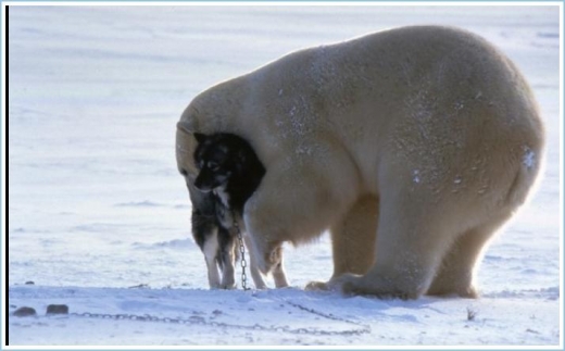 Unlikely New Friends