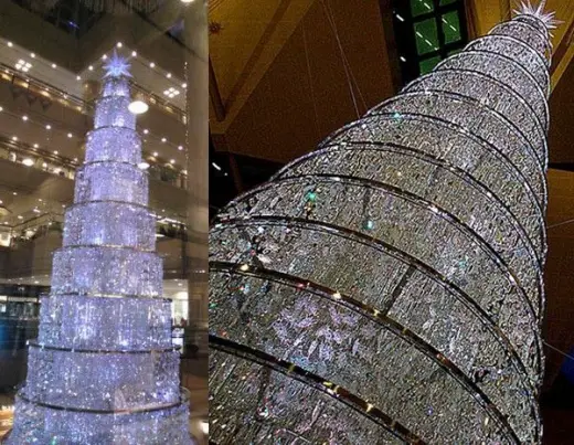 Different Christmas Trees