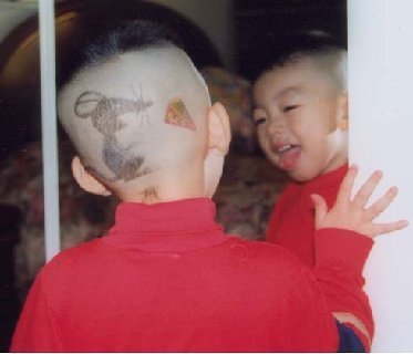 Wacky Haircuts