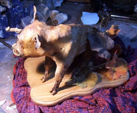 Bizarre Taxidermy