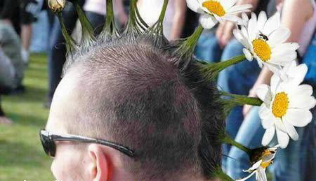 Craziest Hairstyles