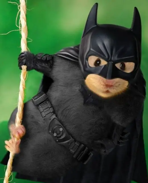 Bat Rat