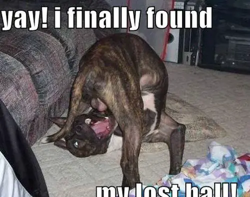 My Lost Ball