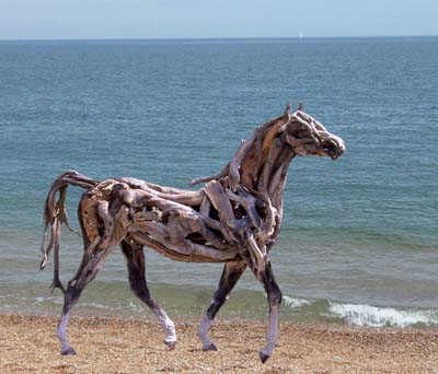 Nature Horses Using Driftwood