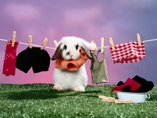 Cute Laundry Bunny