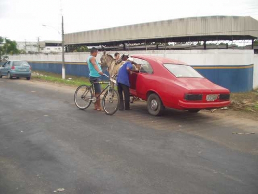 The Car Carriage