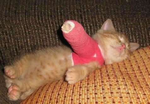 Broken Kitteh