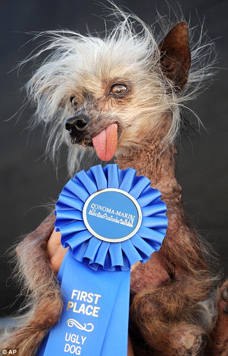 World's Ugliest Dog