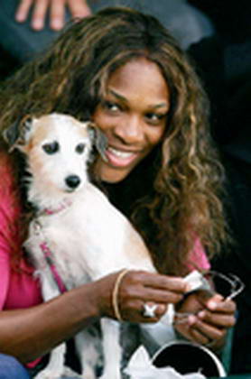 Celebs and their Dogs