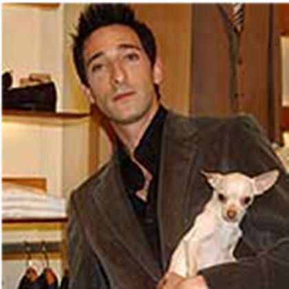 Celebs and their Dogs