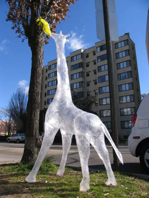 Strange Clear Sculptures