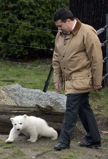 Cute Polar Bear Cub