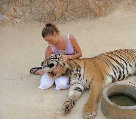 The Tiger Temple