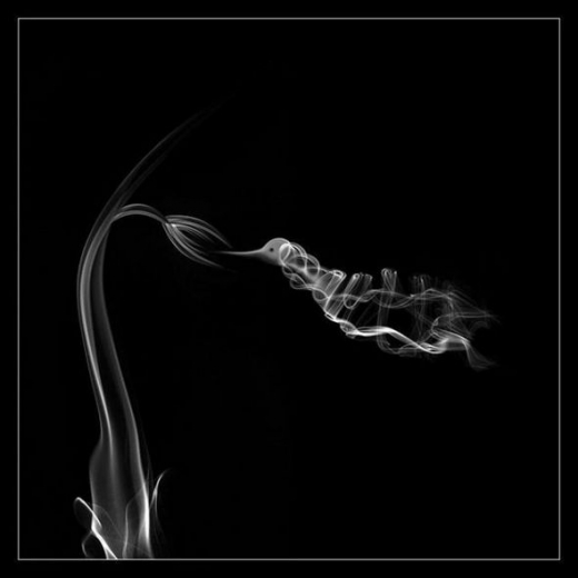 Gallery of Smoke Photography