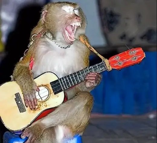 Monkey Guitar Hero