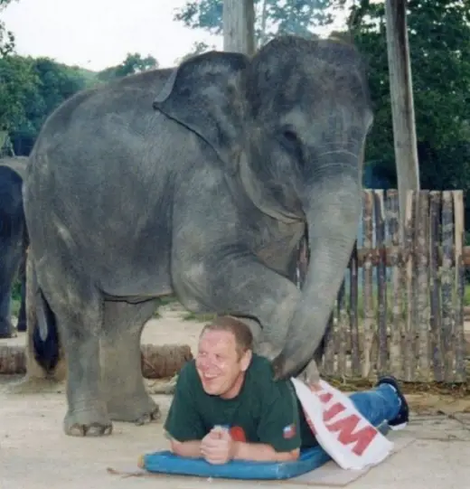 Elephant Massage