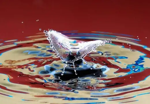 Water Drops Photo Gallery